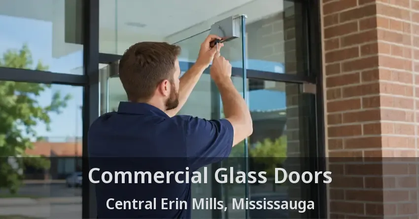 Commercial Glass Doors Central Erin Mills, Mississauga - ON