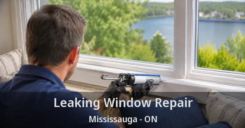 Leaking Window Repair Mississauga - ON
